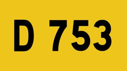 D 753, départementale tueuse : reportage Anne Connin pour Turbo sur M6